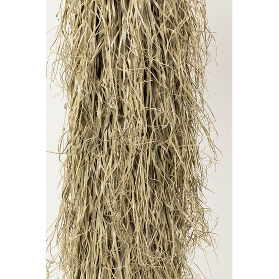 Roślina Dekoracyjna YUCCA ROSTRATA 240 cm