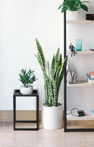 Kwietnik KAJA HOME KS-06 ECO S Czarny