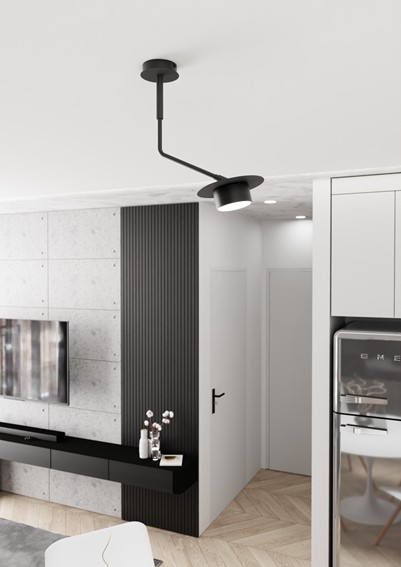 Lampa Sufitowa MIZU 1 Czarny