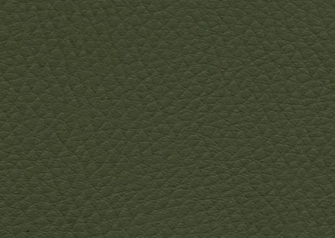 Ekoskóra Mandarine MA-12 Ciemny Zielony