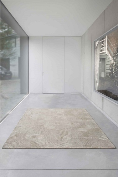 Dywan Shell Beige 9229 280x390 cm