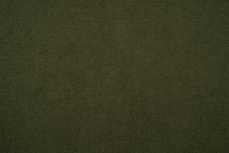 Tkanina Dream Velvet 202.32 Zgniła Zieleń