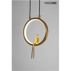 Lampa Wisząca BOY CIRCLE Złoty