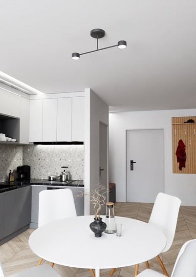 Lampa Sufitowa HALO 2 Czarny