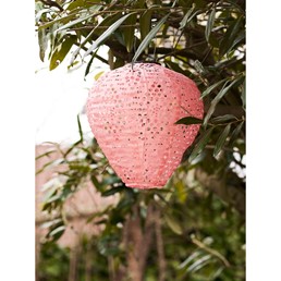 Lampion Ogrodowy GREATHAM Różowy