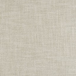 Tkanina DISCOVERY 02 Beżowy (mb)