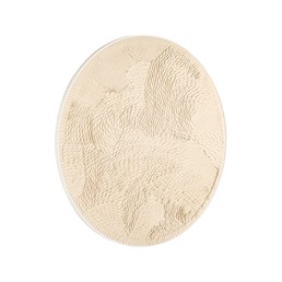 Obraz FLOW 110x110cm Beżowy