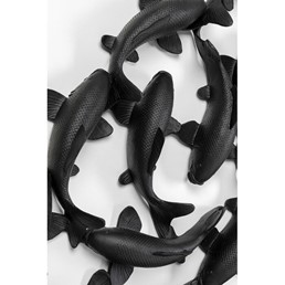 Dekoracja Ścienna SCHOOL OF KOI 160cm Czarny