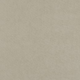 Tkanina LEVANTE 23 Beżowy (mb)