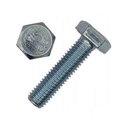 Śruba maszynowa 6x60 1kg Chrom