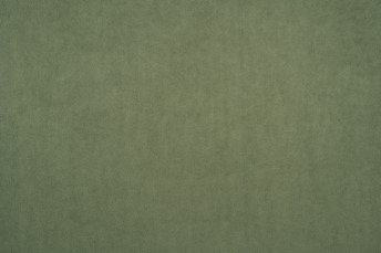 Tkanina Dream Velvet 202.33 Pistacjowy