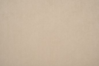 Tkanina Dream Velvet 202.05 Beż