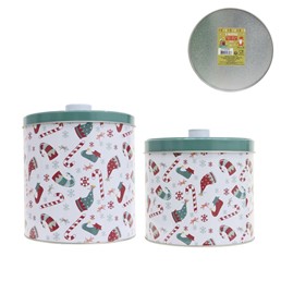 Zestaw 2 Pudełek Świątecznych Metalowych Biały/Zielony