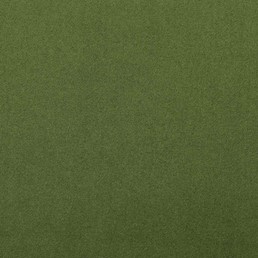 Tkanina CROWN 19 Zielony (mb)