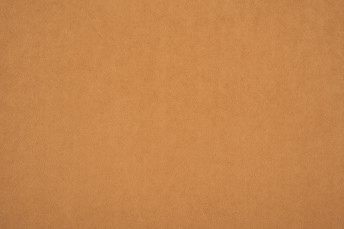 Tkanina Dream Velvet 202.40 Rudy