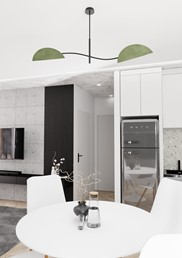 Lampa Sufitowa LOTUS 2 Czarny/Zielony