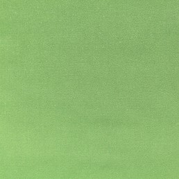 Tkanina VELLUTI 307 Zielony (mb)