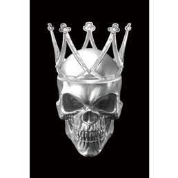 Obraz SKULL II 80x120