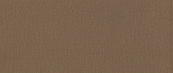 Tkanina Monolith 09 Jasny Brąz
