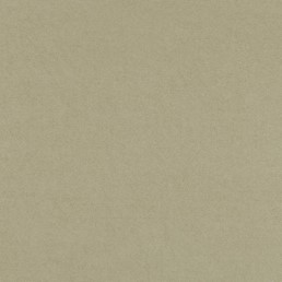 Tkanina LEVANTE 21 Beżowy (mb)