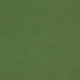 Tkanina BOSTON FR 23 Zielony (mb)