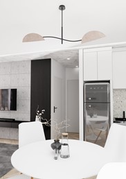 Lampa Sufitowa LOTUS 2 Czarny/Szary