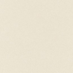 Tkanina NIGHTFALL SUNDOWN 08 Beżowy (mb)