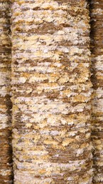 Tkanina PICASSO 65 Beżowy (1 mb)