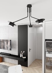 Lampa Sufitowa MIZU 3 Czarny