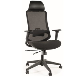 Fotel Obrotowy ERGON Czarny