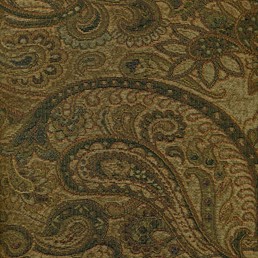 Tkanina Alvaro Fern 5 Paproć