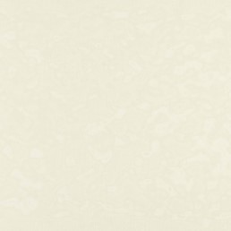 Tkanina MONTE II FR 18 Beżowy (mb)