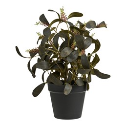 Sztuczna Roślina PEPEROMIA 35cm Zielony