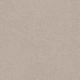 Tkanina HOGAN 25 Jasny Beżowy (1 mb)