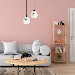 Lampa Wisząca SALIN 1C Czarny/Biały