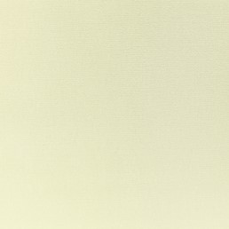 Tkanina VELLUTI 300 Beżowy (mb)