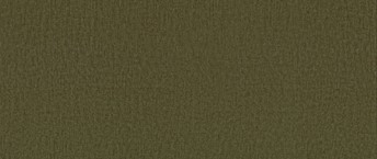 Tkanina Monolith 38 Oliwkowy