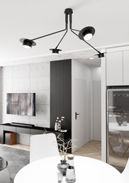 Lampa Sufitowa MIZU 4 Czarny