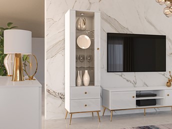 Witryna GOLDIN 02 Biały Alpejski/Biały Połysk