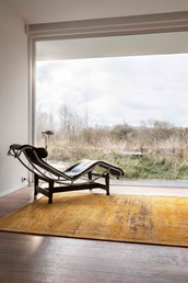 Dywan GRIFF Liberty Gold 8550 280x390 cm