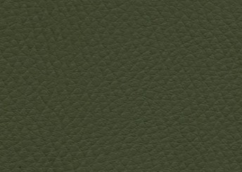 Ekoskóra Mandarine MA-12 Ciemny Zielony