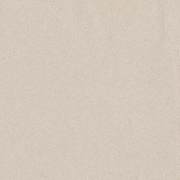 Tkanina HOGAN 22 Jasny Beżowy (1 mb)