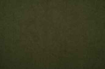 Tkanina Dream Velvet 202.32 Zgniła Zieleń