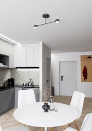 Lampa Sufitowa HALO 2 Czarny