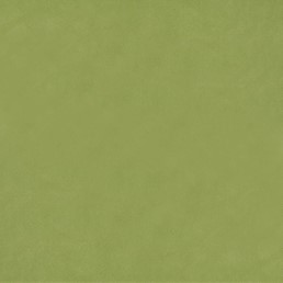 Tkanina BOSTON FR 24 Zielony (mb)